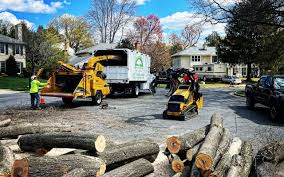 Best Lawn Mowing  in Meadview, AZ