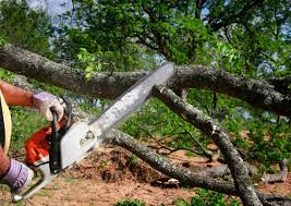 Best Lot and Land Clearing  in Meadview, AZ